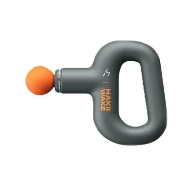 Havit hakii wake massage  _ Grey